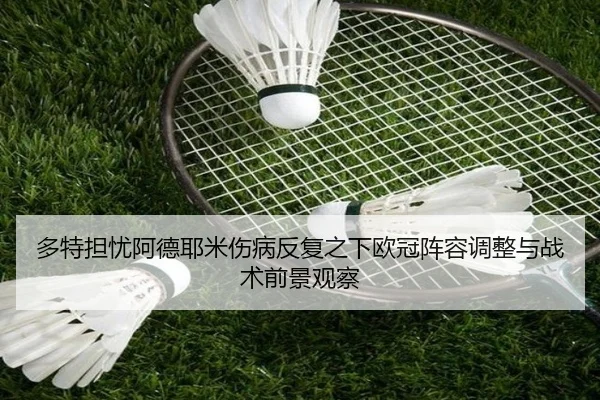 多特担忧阿德耶米伤病反复之下欧冠阵容调整与战术前景观察