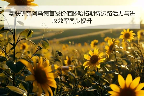 曼联研究阿马德首发价值滕哈格期待边路活力与进攻效率同步提升